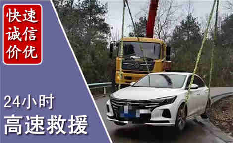 芦山高速公路救援场景与案例